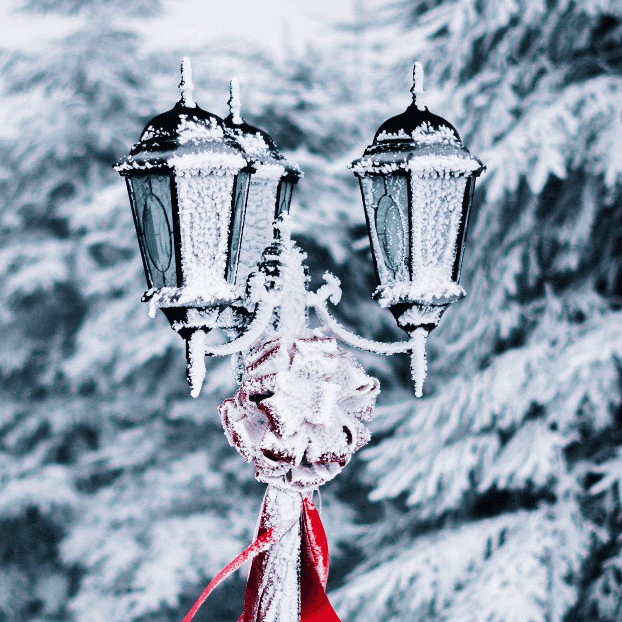 Decorative street lamp covered in frost and snow with a red ribbon, set against snowy trees in a winter landscape.