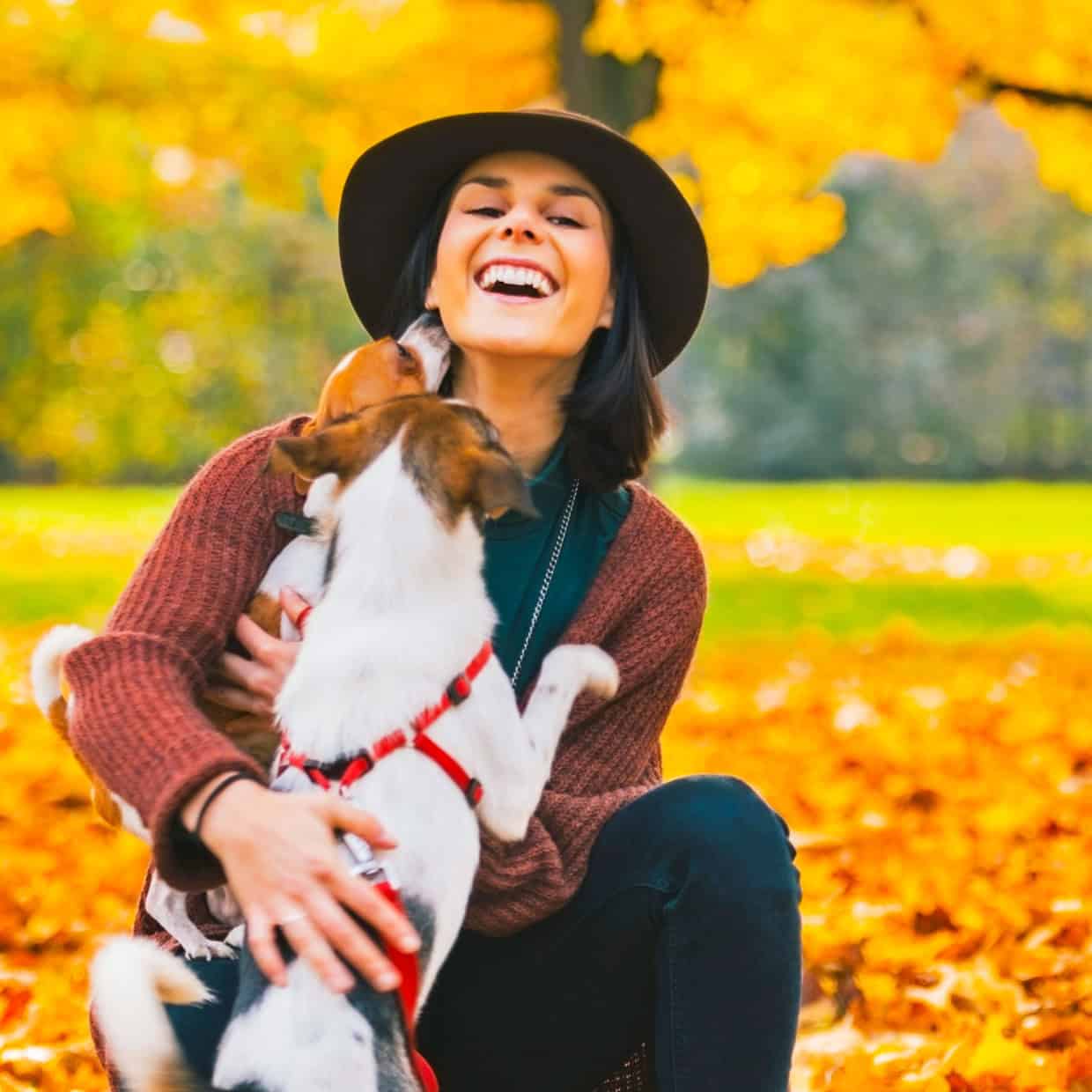 Woman laughing in a park during autumn while being licked by two playful dogs.